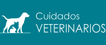 Cuidados Veterinarios